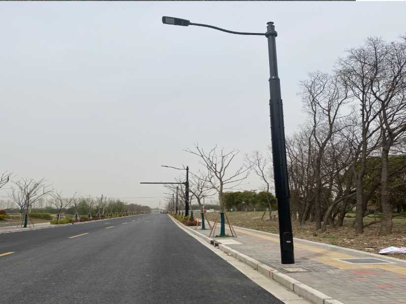 莒南县上海综合杆 太阳能路灯工程